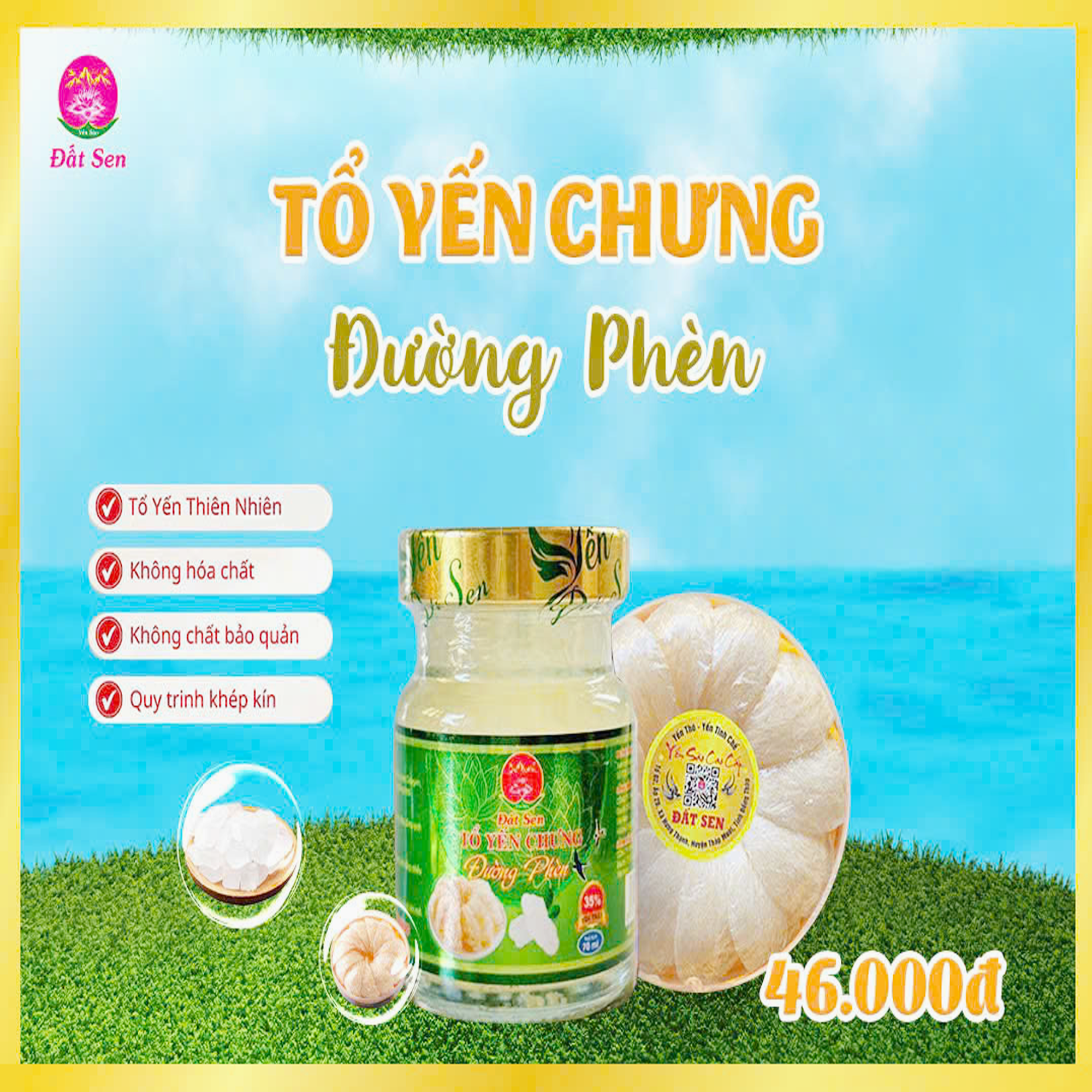 Tổ Yến Chưng Đường Phèn